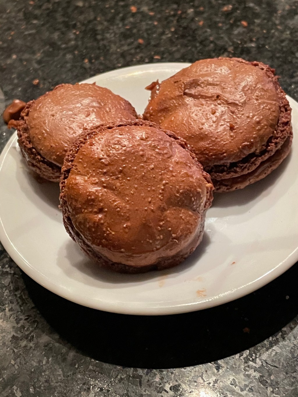 Chocolate Macarons and a French Reference&nbsp;Book